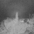 Webcam_20200123-063000