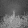 Webcam_20200124-053000