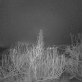 Webcam_20200124-070000