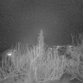 Webcam_20200124-190000