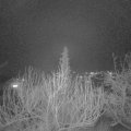 Webcam_20200124-193000