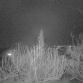 Webcam_20200124-210000