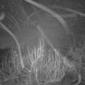 Webcam_20200125-070000