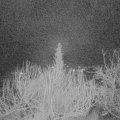 Webcam_20200128-060000