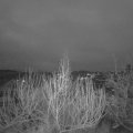 Webcam_20200128-073000