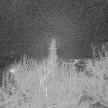 Webcam_20200128-210000