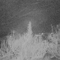 Webcam_20200129-070000