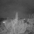 Webcam_20200129-180000