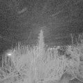 Webcam_20200129-210000