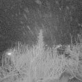 Webcam_20200129-213000