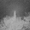 Webcam_20200130-053000