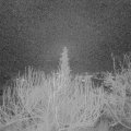 Webcam_20200130-060000
