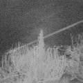 Webcam_20200131-063000