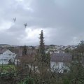 Webcam_20200131-100000
