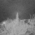 Webcam_20200131-200001