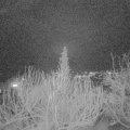 Webcam_20200131-203001