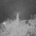 Webcam_20200131-213001