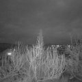 Webcam_20200201-180000