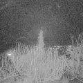 Webcam_20200201-190000