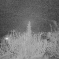 Webcam_20200201-193000