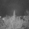Webcam_20200201-200000