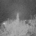 Webcam_20200201-203000