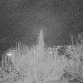 Webcam_20200201-210000