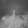 Webcam_20200201-213000