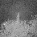 Webcam_20200201-220000