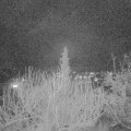 Webcam_20200202-193000
