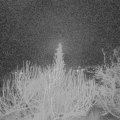 Webcam_20200203-053000
