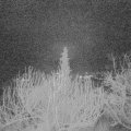 Webcam_20200203-060000
