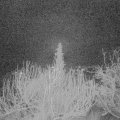 Webcam_20200203-063000