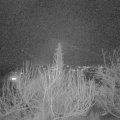 Webcam_20200203-183000