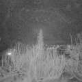 Webcam_20200203-190000