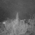 Webcam_20200203-200000