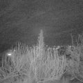 Webcam_20200203-203000