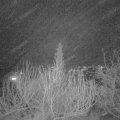 Webcam_20200203-210000