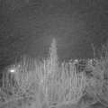 Webcam_20200203-213000