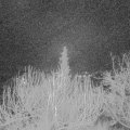 Webcam_20200204-063000