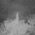 Webcam_20200204-070000