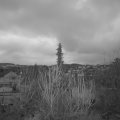 Webcam_20200204-073000