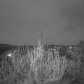 Webcam_20200204-180000