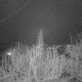 Webcam_20200204-183000