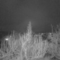 Webcam_20200204-200000