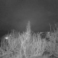 Webcam_20200204-210000