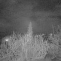 Webcam_20200204-220000