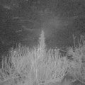 Webcam_20200205-050000