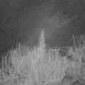 Webcam_20200205-053000