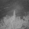 Webcam_20200205-060000